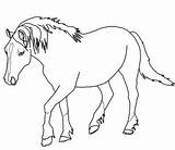 Welsh Palomino Pony Cheval Ausmalbild Kleurplaten Tennessee Pferde Getcolorings Paard Haflinger Rearing Kleurplaat Supercoloring Poney sketch template