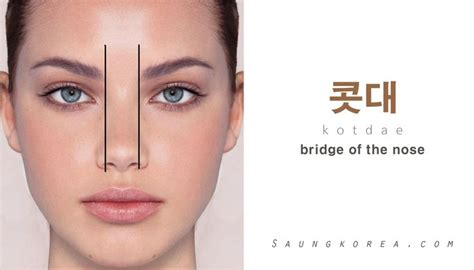 bridge nose   called najeun kotdae