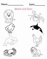 Matching Animals Printablesfree sketch template