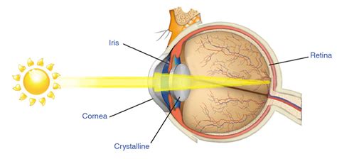 eye works offhealth spa oftalmica farmaceutica firenze