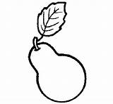 Pear Coloring Coloringcrew sketch template
