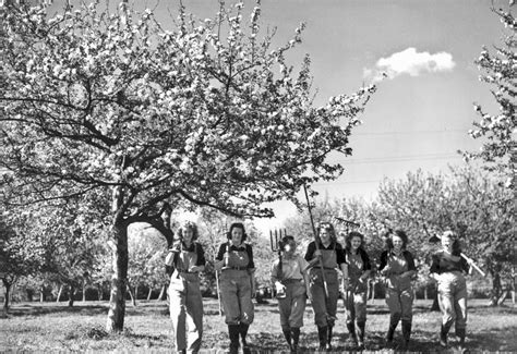 vintage photos of land girls during world war ii ~ vintage