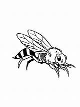 Wasp Insect Pict Mycoloring Wasps sketch template