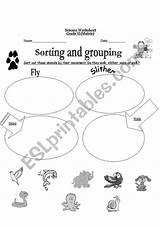 Grouping Sorting Worksheets Preview sketch template