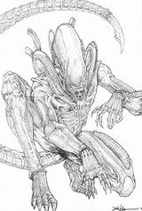 Xenomorph Aliens Predator Giger Chrisozfulton Depredador Isolation sketch template