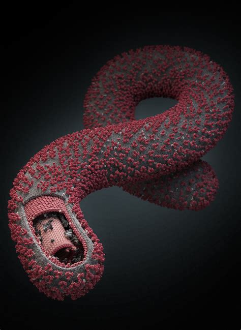 uva team identifies maps unique structure  deadly ebola virus uva today