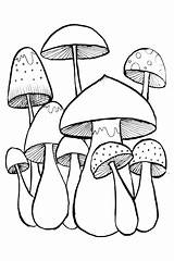 Doodles Coloring Mushroom Vector Book Premium sketch template