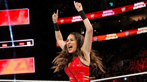 Has Brie Bella Just Retired From Wwe Free Download Nude Photo Gallery