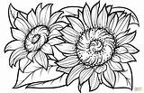 Sonnenblume Kostenlos Malvorlagen Malvorlage Sonnenblumen Ausmalbilder Ausdrucken Drucken Ausmalbild sketch template