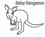 Kangaroo Baby sketch template