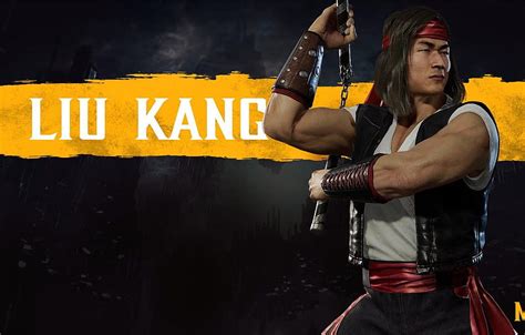 Fighter Art Mortal Kombat Mortal Kombat Mortal Kombat Liu Kang