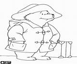 Paddington Famoso Oso Malvorlagen Bär Berühmte Urso Zeichentrickfiguren Verschiedene Diversos Beroemde Beertje Ausmalbilder sketch template