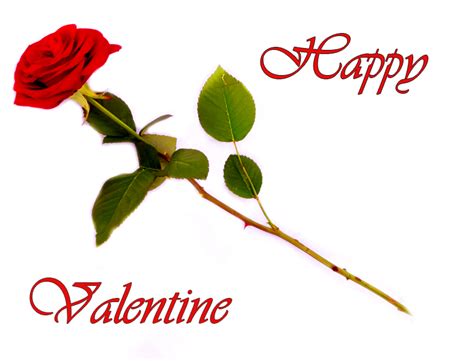 25 Valentine S Day Roses Clipart We Need Fun