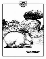 Wombat Crittersquad sketch template