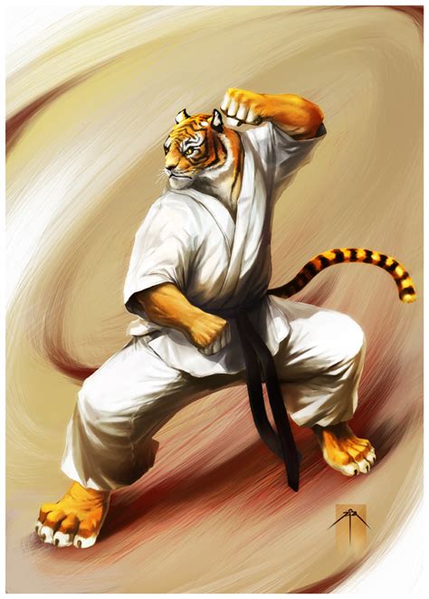 shotokan karate wallpaper wallpapersafari