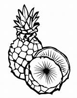 Pineapple Coloring Pages sketch template