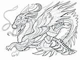 Coloring Dragon Pages Printable Dragons Advanced Cool Adults Real Color Colouring Printables Mystical Warrior Greek Mythical Creature Getcolorings Estate Print sketch template