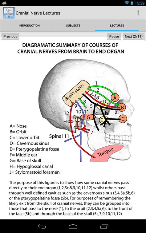 anatomy cranial nerve lectures uk apps and games