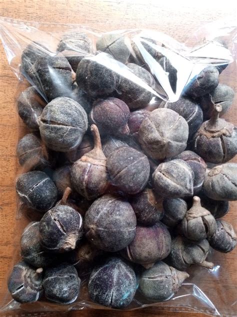 4 surprising sexual health benefits of ‘miracle fruit goron tula