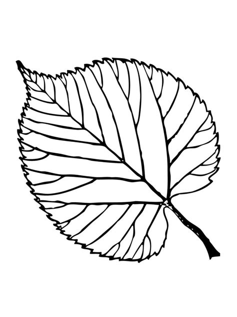 leaf coloring pages printable activity shelter