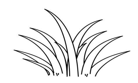 grass coloring page  getdrawings