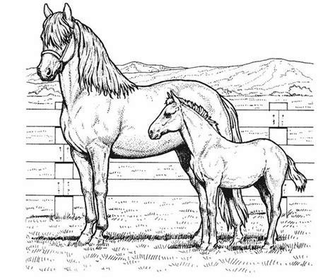 horse color pictures horse coloring pages horse coloring books