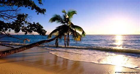 nature beach hd high definitions wallpapers
