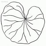 Pad Coloring Lily Online Printable Template Pages Color Outline Lilypad Stencil Crafts Pattern Sheets Popular Preschool Pdf Coloringhome sketch template