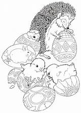 Easter Coloring Pages Hedgehog Happy Colouring Eggs Jan Brett Kids Sheets Printable Egg Janbrett Book Print Coloringpages1001 Animals Kleurplaat Spring sketch template