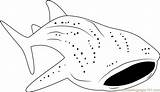 Baleine Requin Coloringpages101 sketch template