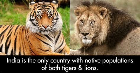 10 facts that prove india has an incredible biodiversity