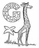 Girafa Giraffe Colorir Imprimir Colorat Cu Olds Ziege Tudodesenhos Clopotel Planse Plansa Coloringhome Atividades Ausmalbilder sketch template