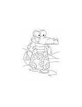 Coloring Pages Alligator Live Motto Let Alligators Gown sketch template