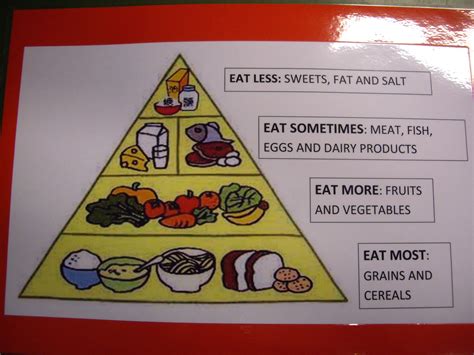 learning  project food pyramid
