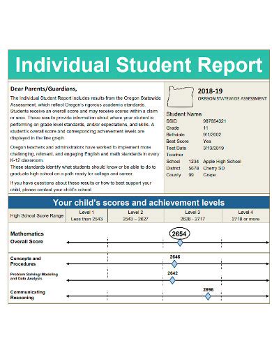 individual student report samples attendance progress