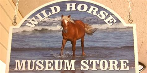 wild horse museum store corolla wild horse fund