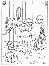 Paarden Kleurplaten Paard Manege Feestje Verzorgen Boerderij Bezoeken sketch template