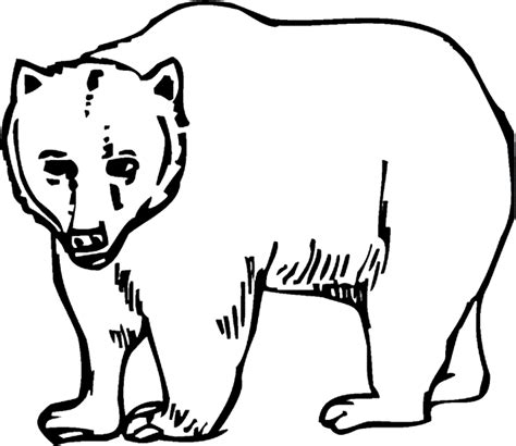 grizzly bear coloring page animals town  grizzly bear color sheet