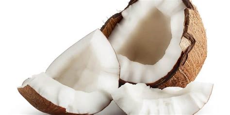 coconut  recipes benefits  side effects tasted recipes