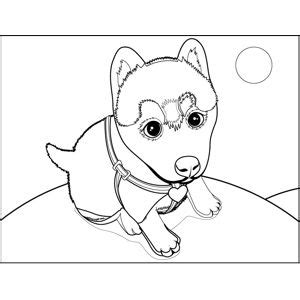 cute husky puppy printable coloring page     print