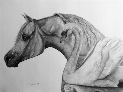arabian horse drawing rysunek pencil drawing horse fineliner horse