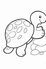Coloring Pages Baby Animals Kids Cute Zoo Colouring Gambar Binatang Lucu Mewarnai Library Clipart Comments Popular Coloringhome sketch template