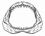 Shark Jaws Jaw Sharks Bite Clipartmag Streex Pinclipart Clipartmax Pngegg Clipground Pluspng sketch template