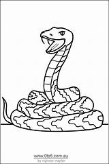 Snake Coloring Pages Printable Kids Colour Snakes Cartoon Animal Library Clipart Animals Print Step Coloringhome Popular sketch template