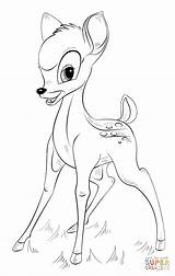 Bambi Draw Tiere Malen Malvorlagen Supercoloring Cerbiatto Bamby Zeichnung Animati Raubkatzen Dessiner Personaggio Simpatici Colorier H121 Malvorlagentv Creativedrawing Siterubix sketch template