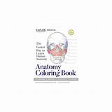 Coloring Anatomy Book Target Wise Eric Kaplan Books Nursing sketch template