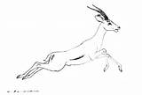 Gazelle Coloring sketch template