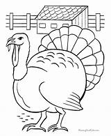 Turkey Coloring Baby Pages Getcolorings Printable Color sketch template
