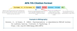 edition citation generator edubirdiecom