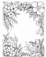 Blume Colouring Bloem Mykinglist Frise Bordure Malvorlagen Doodle 1886 Ingalls Doodles sketch template